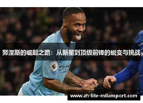 努涅斯的崛起之路：从新星到顶级前锋的蜕变与挑战